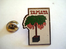 Pins tamaya plante d'occasion  Sisteron