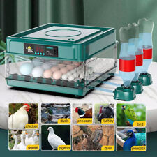 Incubators hatching eggs for sale  WORCESTER