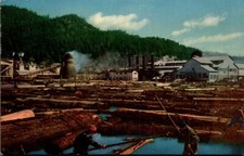 Postcard logging lumber for sale  Missoula