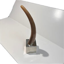 Cow horn stainless for sale  San Francisco