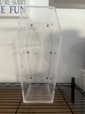 Large coffin tarantula for sale  Pompano Beach