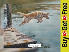 Joyful dive stampa usato  Spedire a Italy