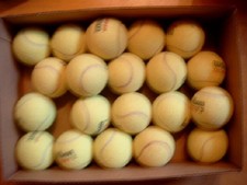 Gebrauchte gespielte wilsonbä gebraucht kaufen  Ludwigshafen am Rhein