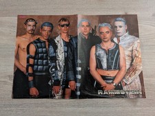 Poster rammstein blümchen gebraucht kaufen  Schweitenkirchen