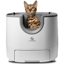 Self cleaning cat for sale  Chino