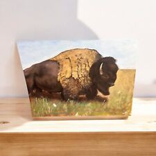 Bison painting wildlife for sale  Embarrass