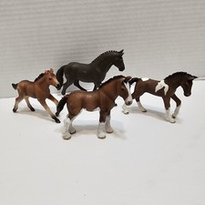 4 mare stallions for sale 4 mare stallions for sale Zephyrhills