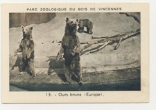 OURS BRUN URSUS ARCTOS BROWN BEAR BRAUNBÄR ZOO DE VINCENNES IMAGE CARD 1950'S na sprzedaż  Wysyłka do Poland