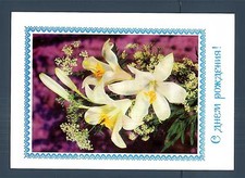 Urss russia 1984 usato  Brescia