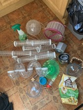 Hamster gerbil rodent for sale  SANDBACH