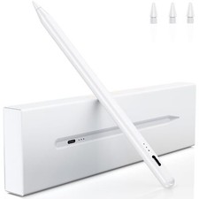 Penna per ipad usato  Spedire a Italy