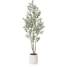 Artificial olive trees for sale  Brentwood