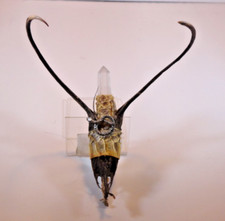 Primitive folk art for sale  Elyria