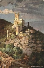 Burg sooneck gebraucht kaufen  Deutschland