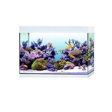 Askoll pure marine usato  Terlizzi