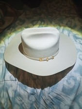 stetson hat cowboy stallion for sale  Branson