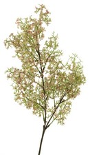 Branche fleurs baies d'occasion  France