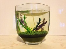 Candela gel vaso usato  Caravate