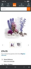 biorb aquarium plants for sale biorb aquarium plants for sale THAME