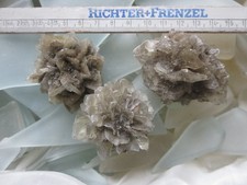 Gipsrosen amsdorf romonta gebraucht kaufen Gipsrosen amsdorf romonta gebraucht kaufen  Eschwege