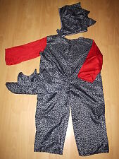 Drache dino kostüm gebraucht kaufen  Pforzheim