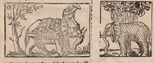 Elefant holzschnitte 1580 gebraucht kaufen  Deutschland