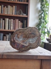 Vintage lithophysis stone d'occasion  Expédié en Belgium