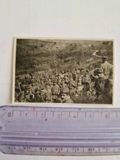 Old photo battaglione usato  Bologna