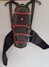 Paraschiena dainese pro usato  Potenza