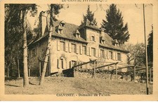 Cantal calvinet domaine d'occasion  Expédié en Belgium