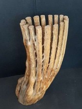 Saguaro cactus skeleton for sale  Michigan City