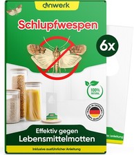 Anwerk schlupfwespen lebensmit gebraucht kaufen  Altenkirchen