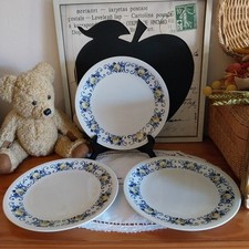 Assiettes plates vintage d'occasion  Elne