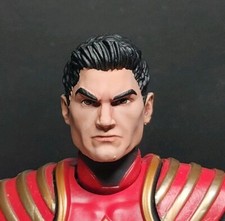 SOMENTE CABEÇA Power Rangers Omega Ranger Jason Cabeça Pintada Apenas Ranger Vermelho IdW , usado comprar usado  Enviando para Brazil