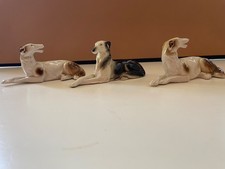 Small borzoi dog for sale  AYR