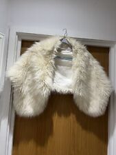 Tailors cat cream for sale  SAFFRON WALDEN
