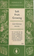 Soft fruit growing usato  Bastia Umbra