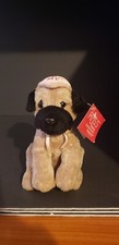 Russ pug puppy for sale  Sanford