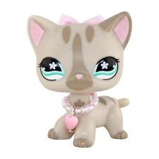 lps short hair cat for sale lps short hair cat for sale Las Vegas