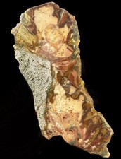 Morrisonite jasper slab for sale  Flint