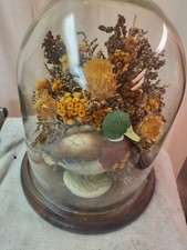 Vtg boho dried for sale  Jersey City