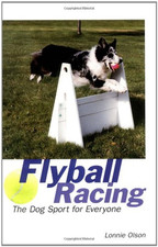 Flyball racing dog for sale  ROSSENDALE