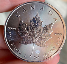Oncia 2015 canada usato  Portici