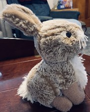 Light brown bunny for sale  Jeannette
