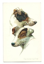 Antica cartolina animali usato  Savona