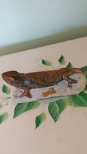 Hardstone lizard rock for sale  ASHBOURNE
