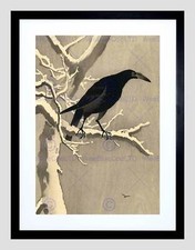Japan nature crow for sale  EDINBURGH
