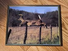 Framed photo white for sale  Lincoln