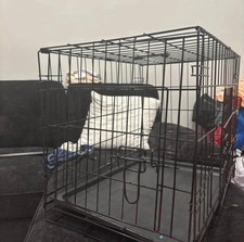Portable foldable dog for sale  Clifton