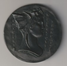 Rare médaille gouvernement d'occasion  Tours-